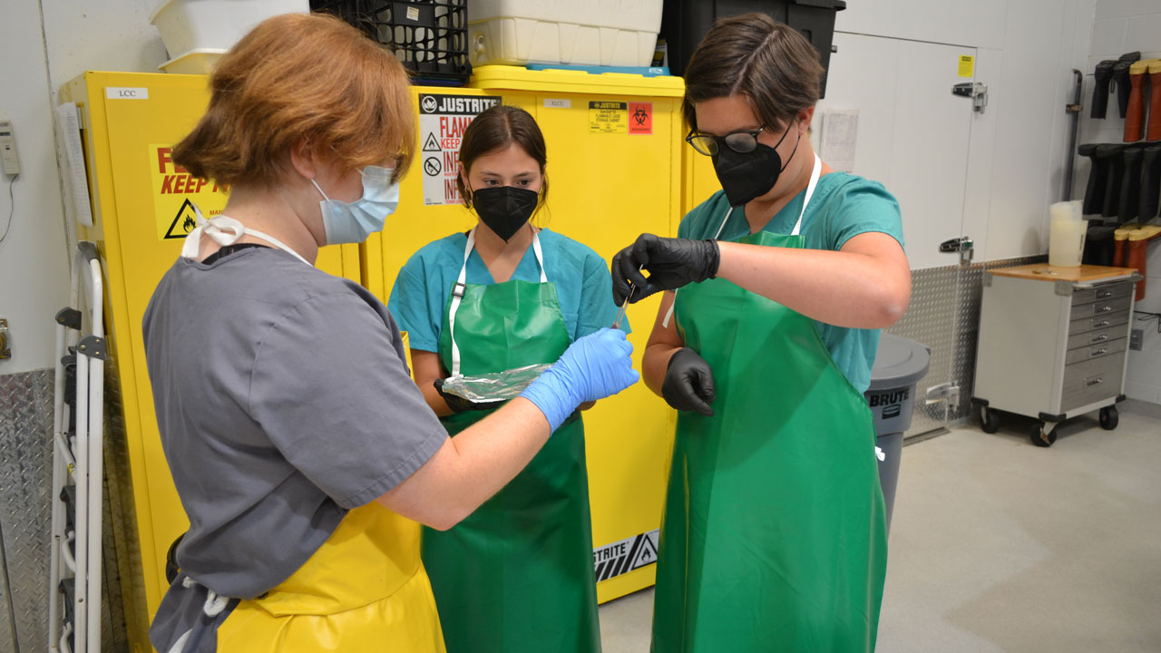 three students in lab collect sample