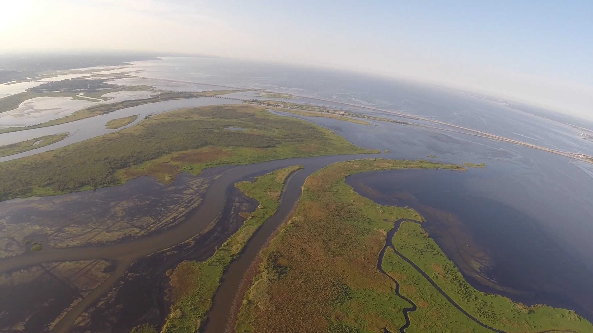 Aerial view of the Mobile delta