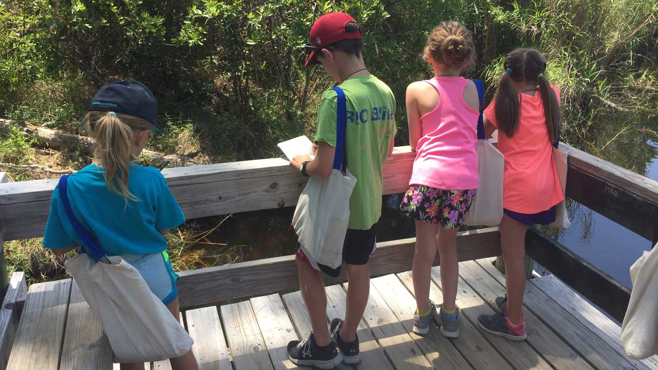 BIO Blitz campers explore the maritime forest.