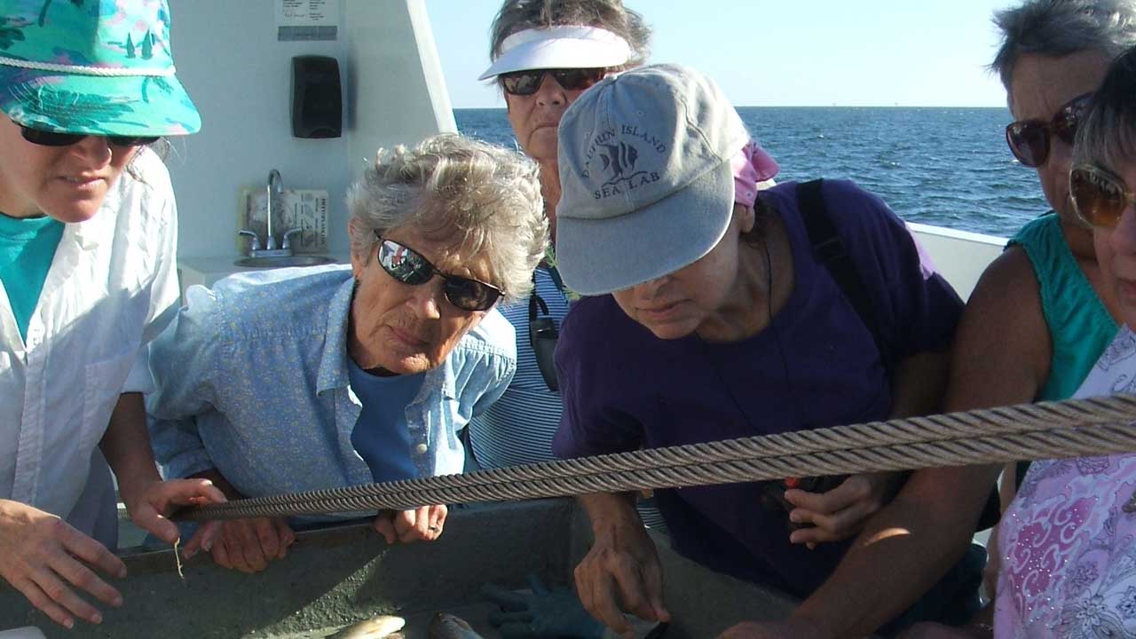 Citizens helping identify species on a boat table from a catch