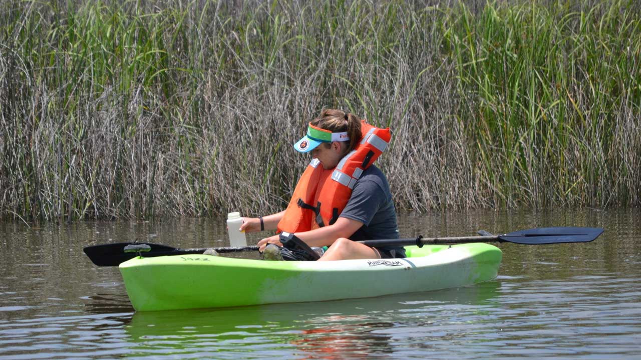 Student in a kayak collecting a water sample in the marsh
