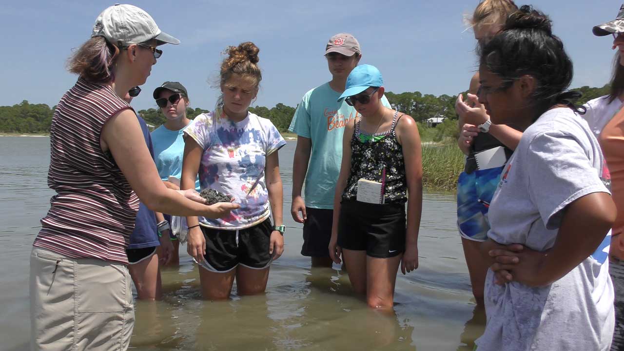 Instructor teaching students standing in marsh water