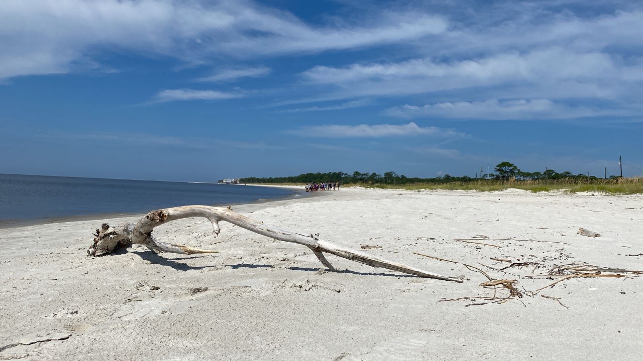 generic beach