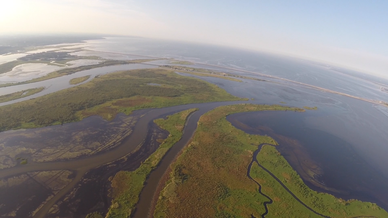 south mobile-tensaw delta