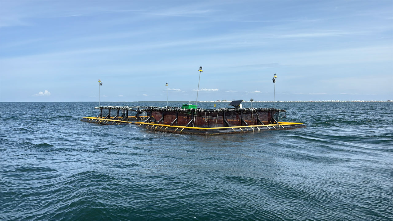 aquafort