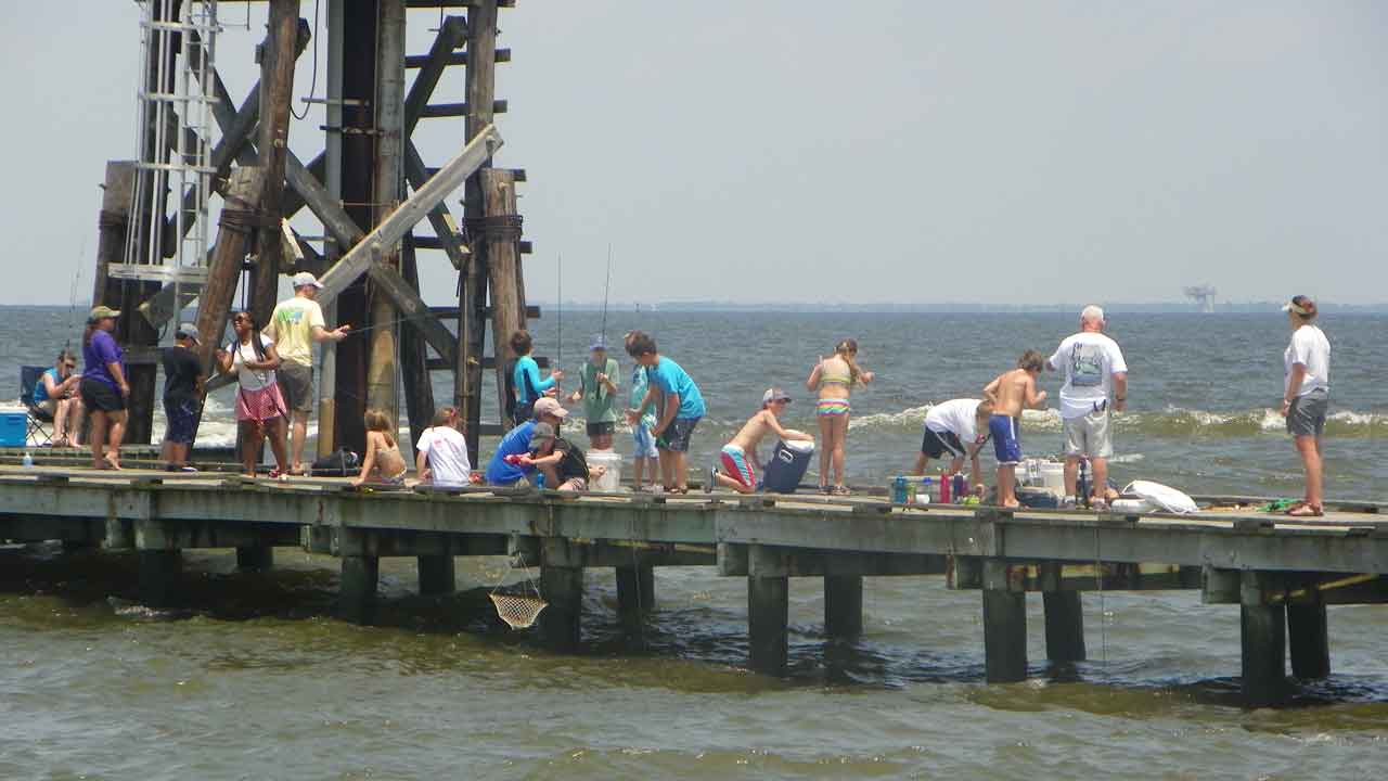 students on pier fishing