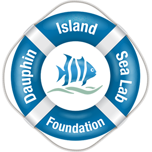 Dauphin Island Sea Lab Foundation Logo