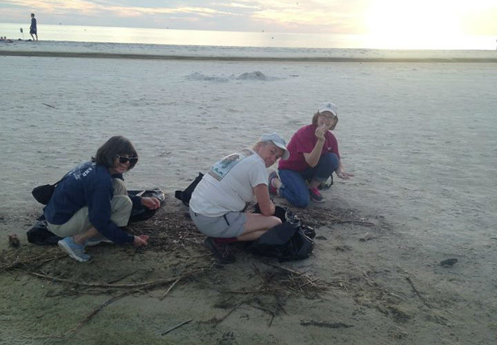 Marine educators gather for annual conference at the Dauphin Island Sea