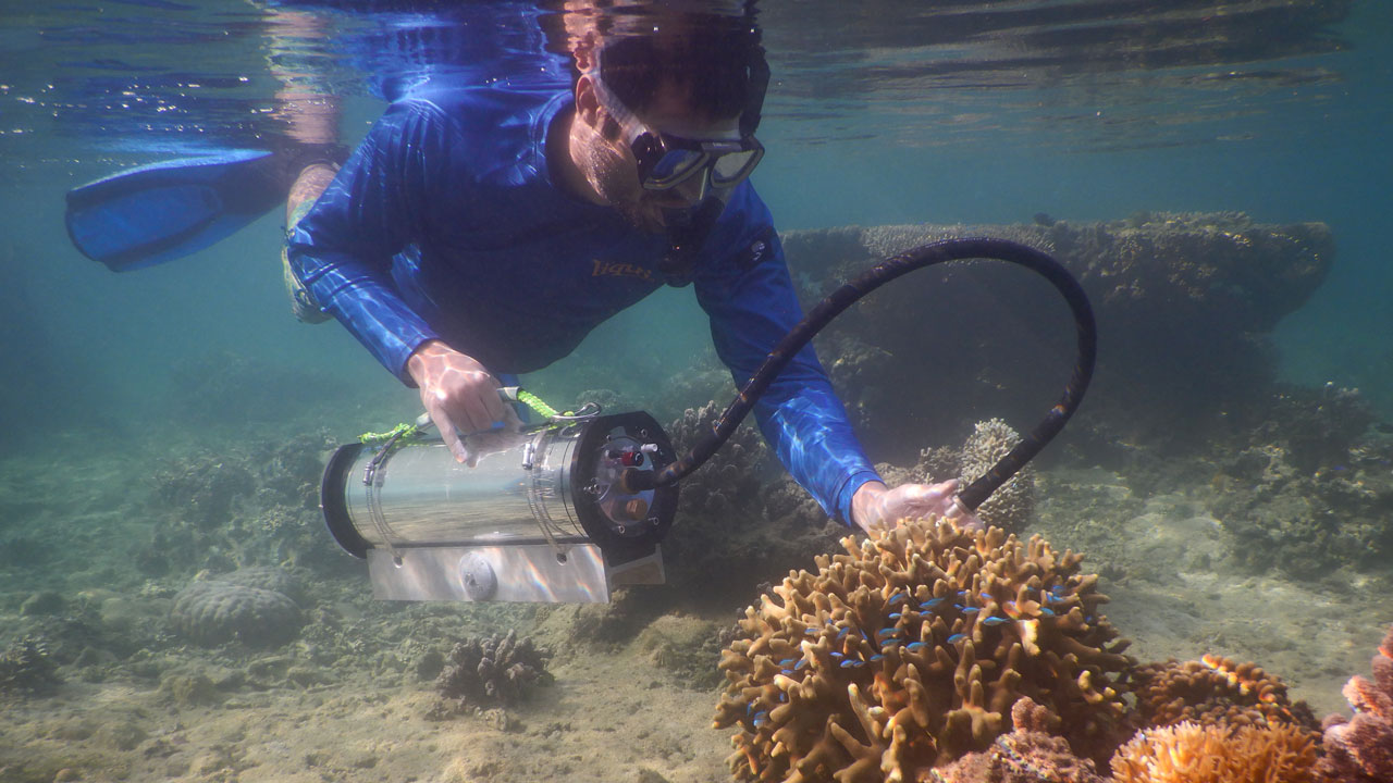 Dr. Kenneth Hoadley, University of Alabama Professor and DISL Senior Marine Scientist uses submersible algal phenotyping fluorometer