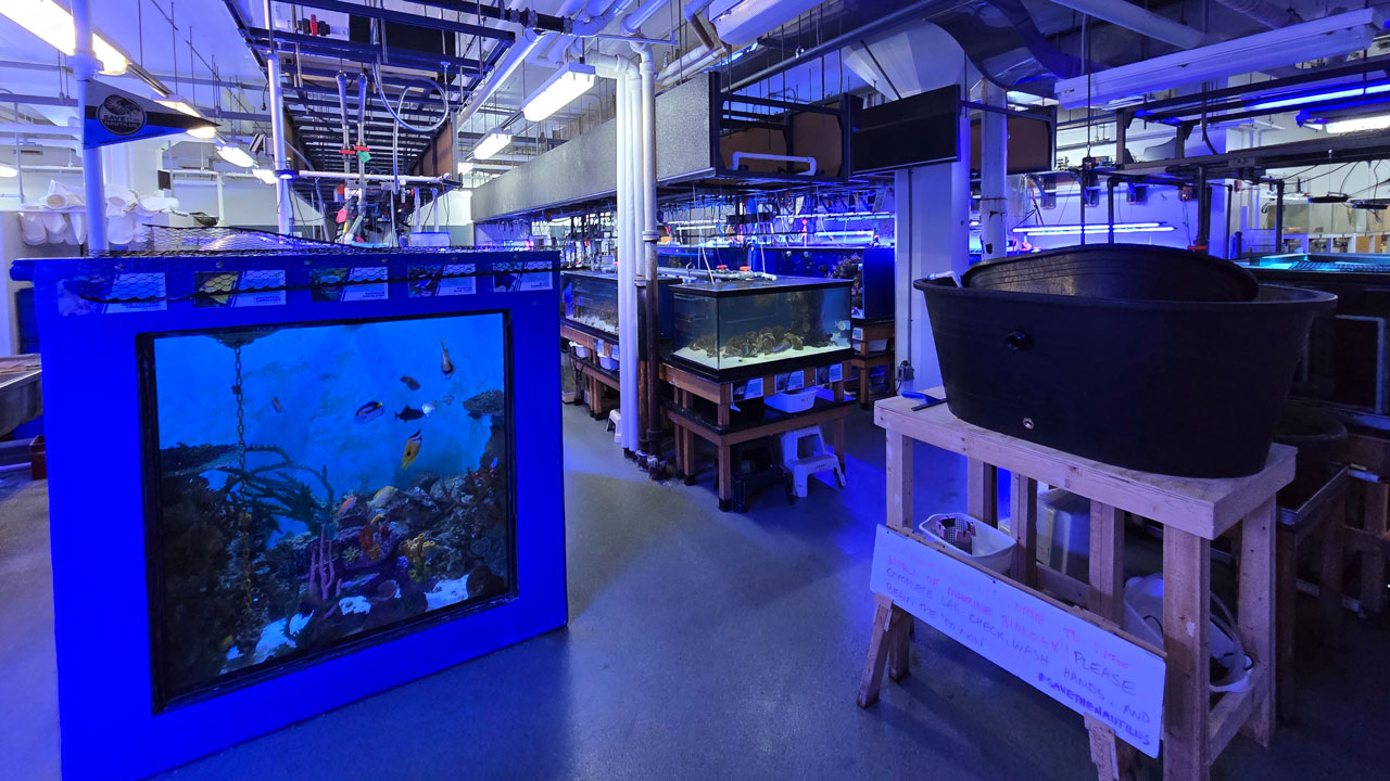 Central Campus Aquarium lab
