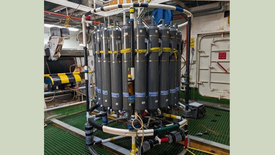 CTD Rosette