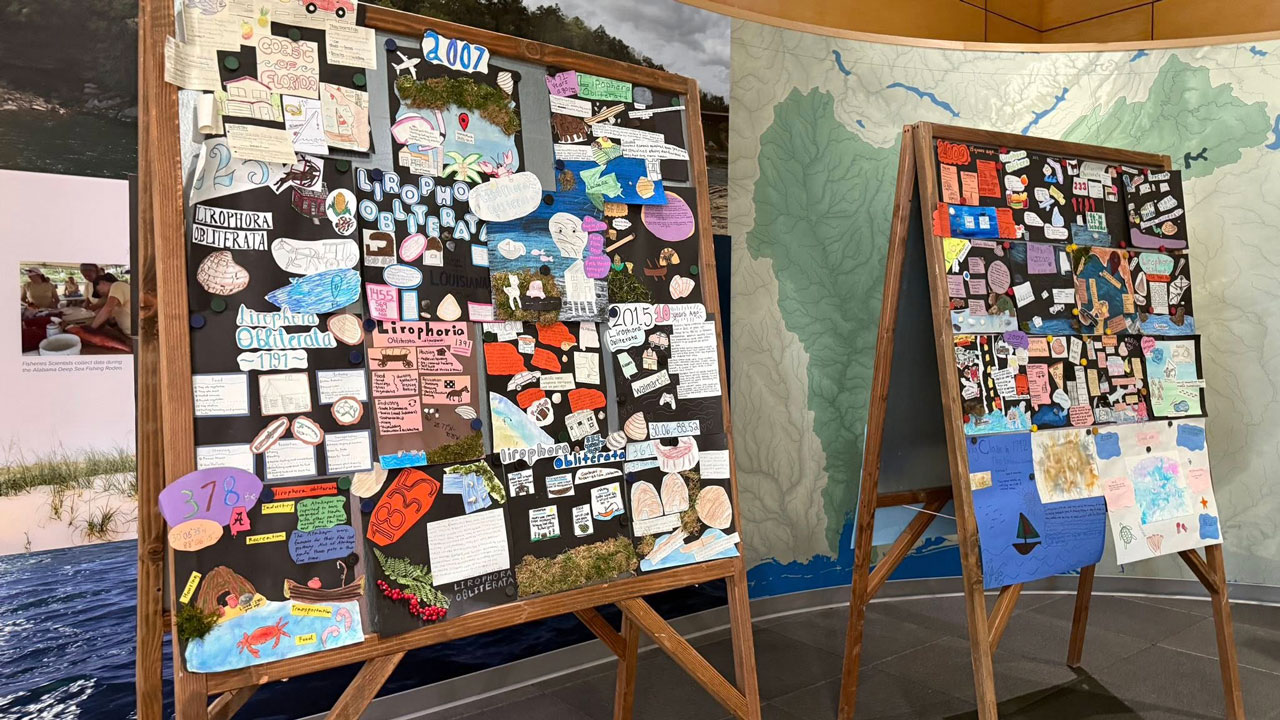 Postcards from the Past on display