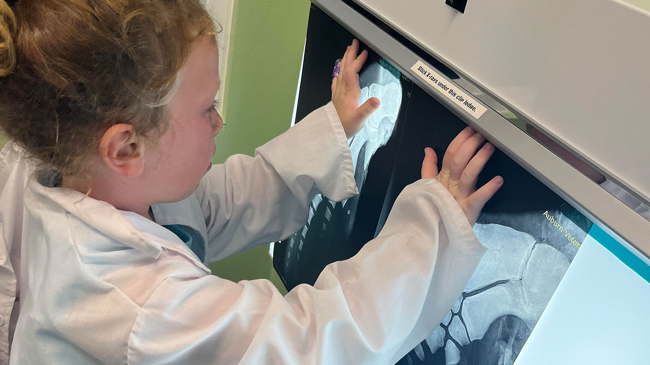 young girl examines xray