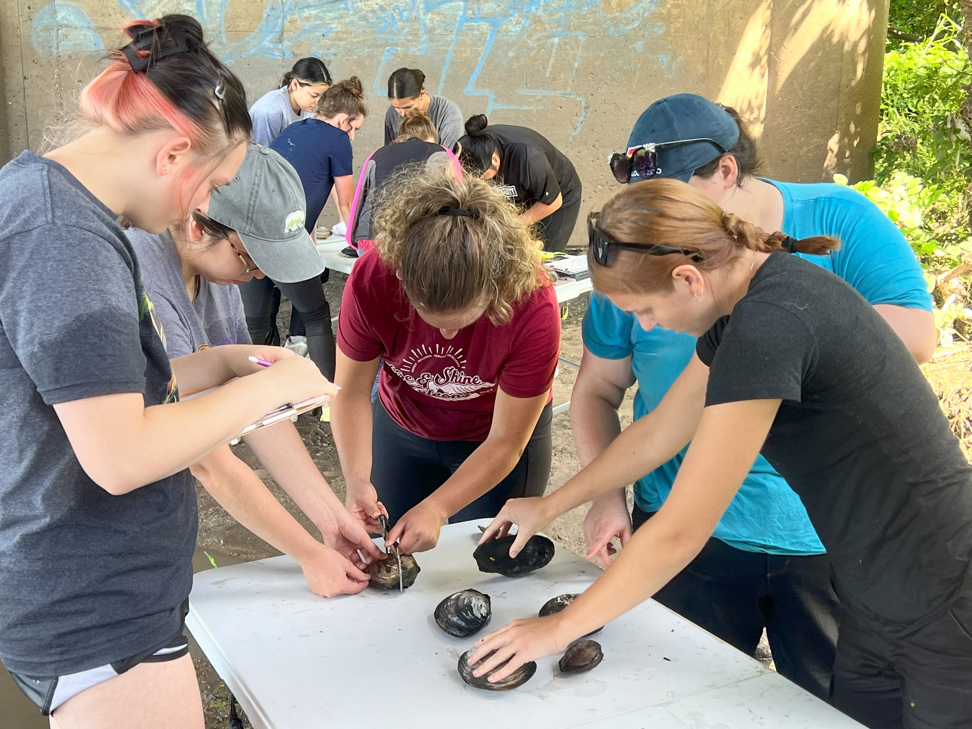 friends university students in general ecology class