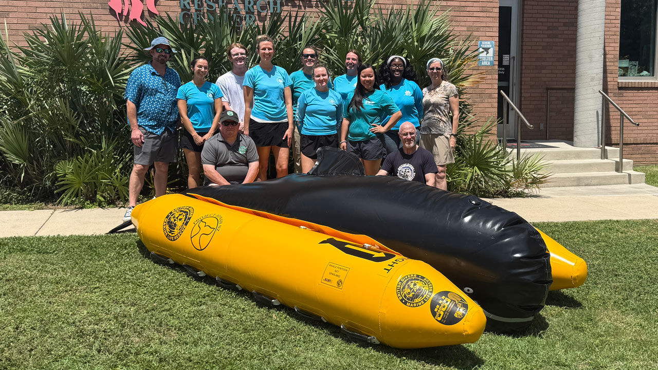whale pontoon training group