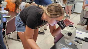 ellie heflin snorkel