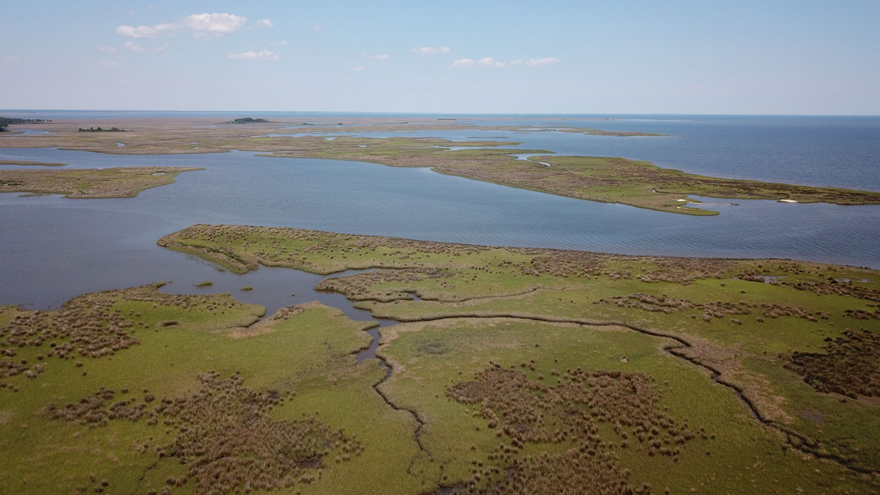 drone view of Grand Bay NERR