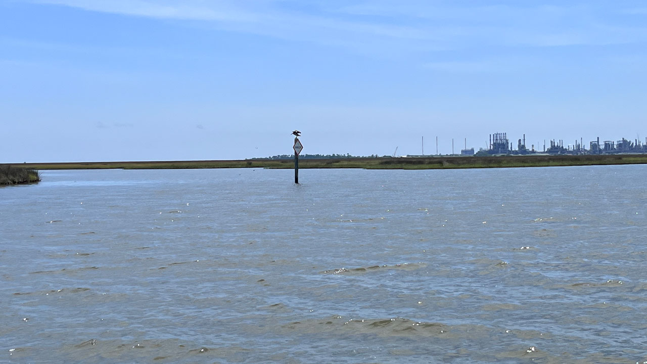 Industry on outskirt of Grand Bay NERR