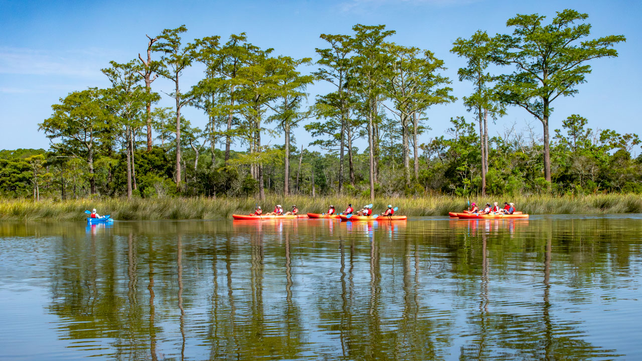 kayakers in Weeks Bay NERR