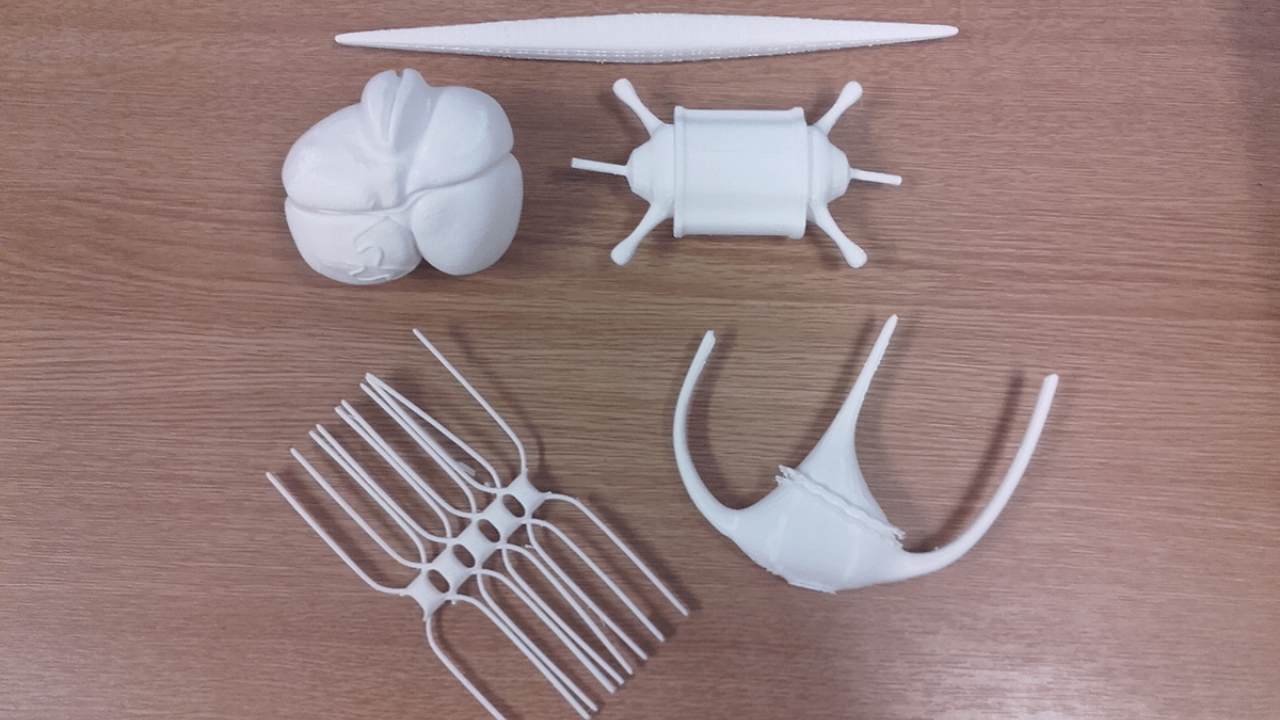 3d plankton models