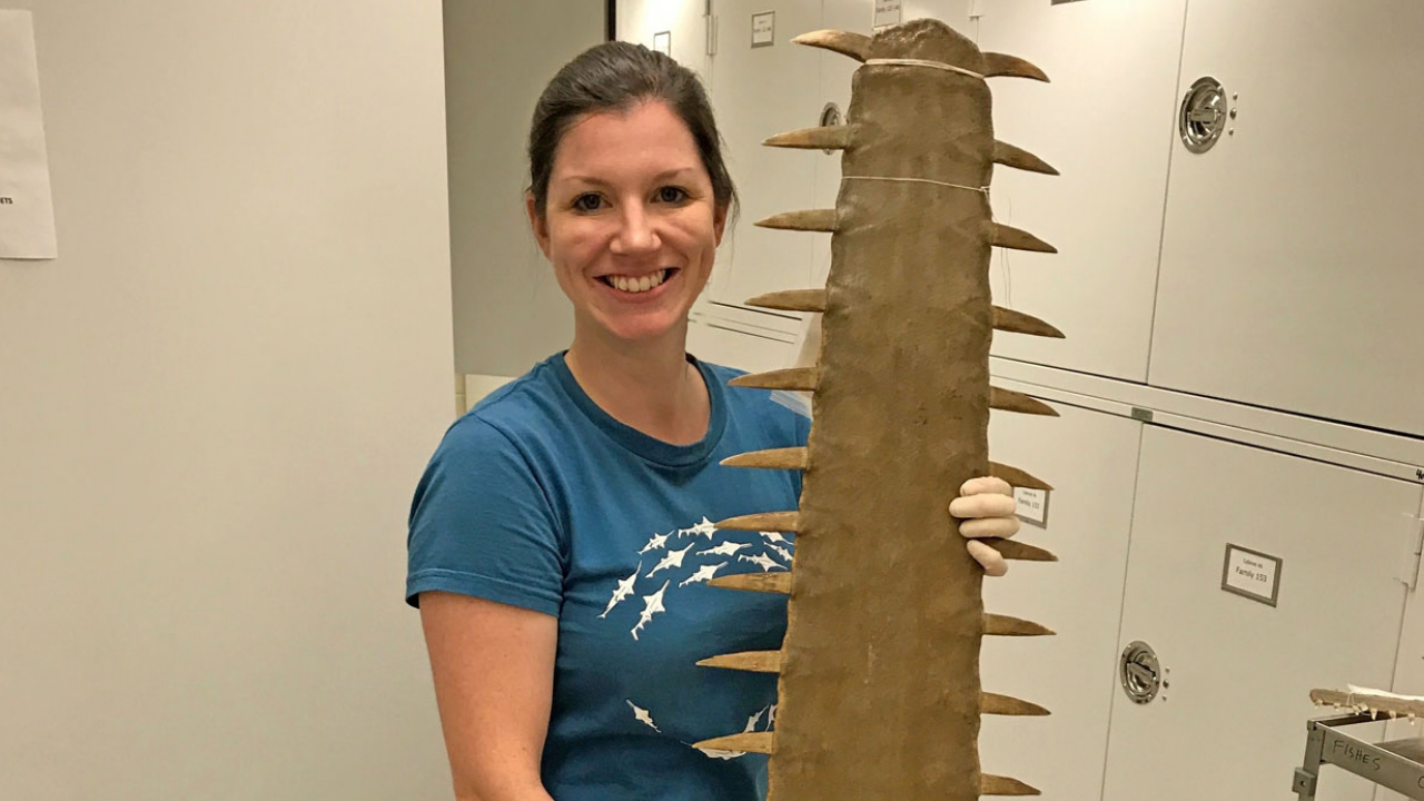 Nicole Phillips holds saw from sawfish