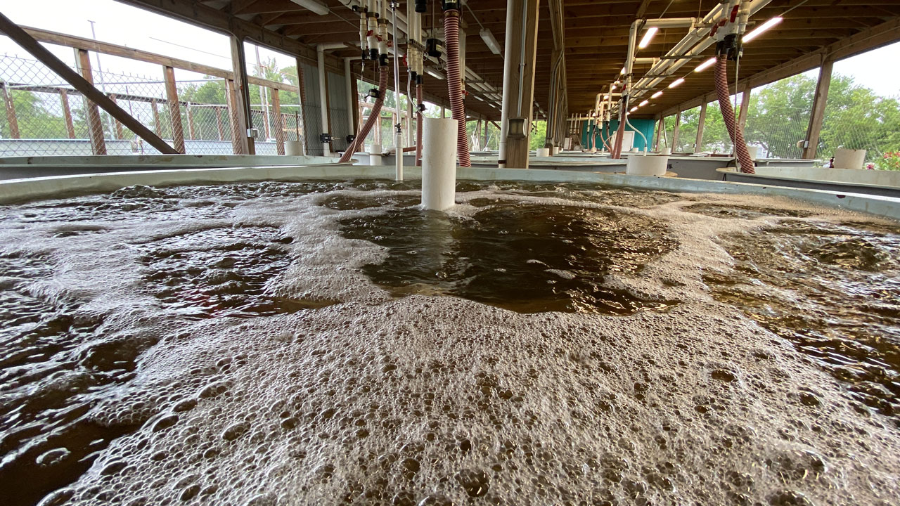 overhead of wet lab tank