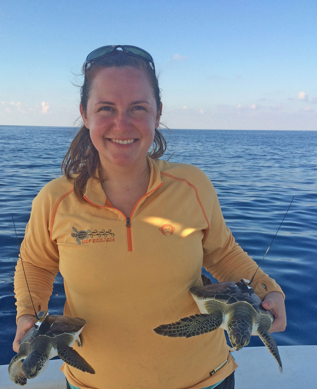 phillips holds tagged sea turtle