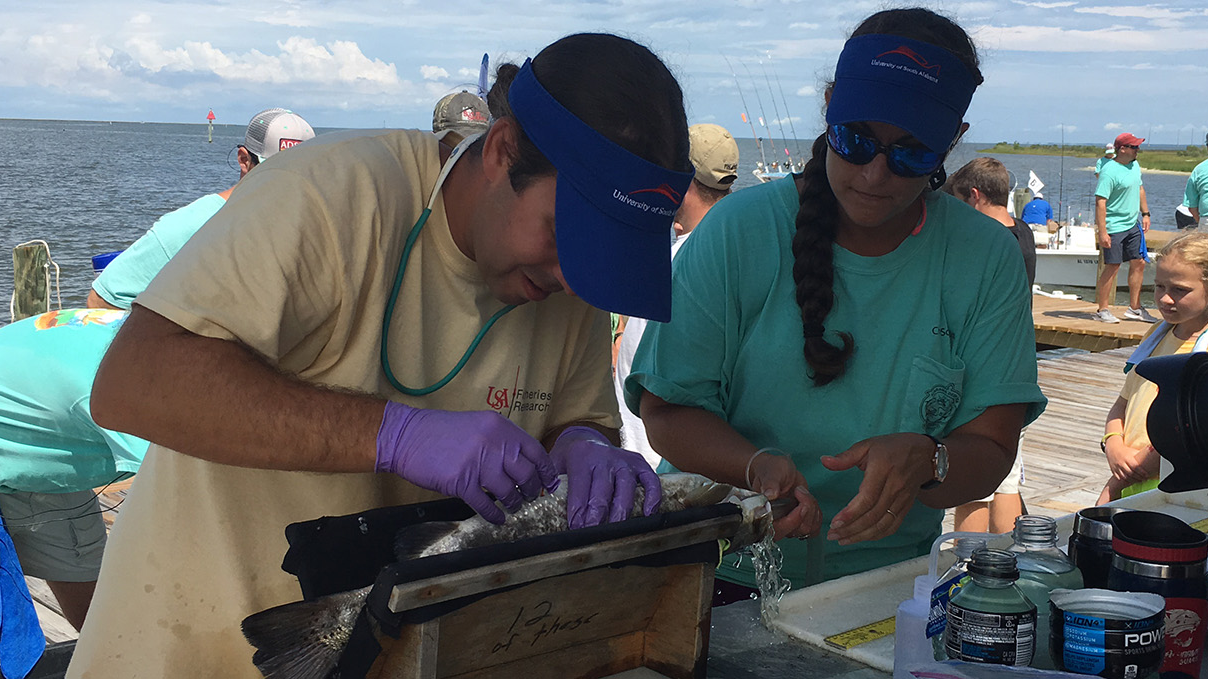 Fisheries Ecology Research - Dauphin Island Sea Lab