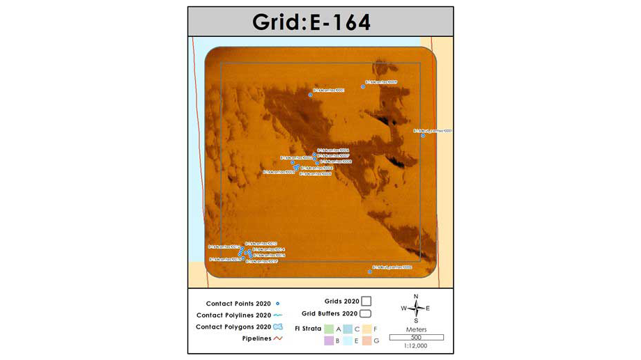 An example of a side-scan image mosaic created from a square nautical mile survey off the coast of Alabama.