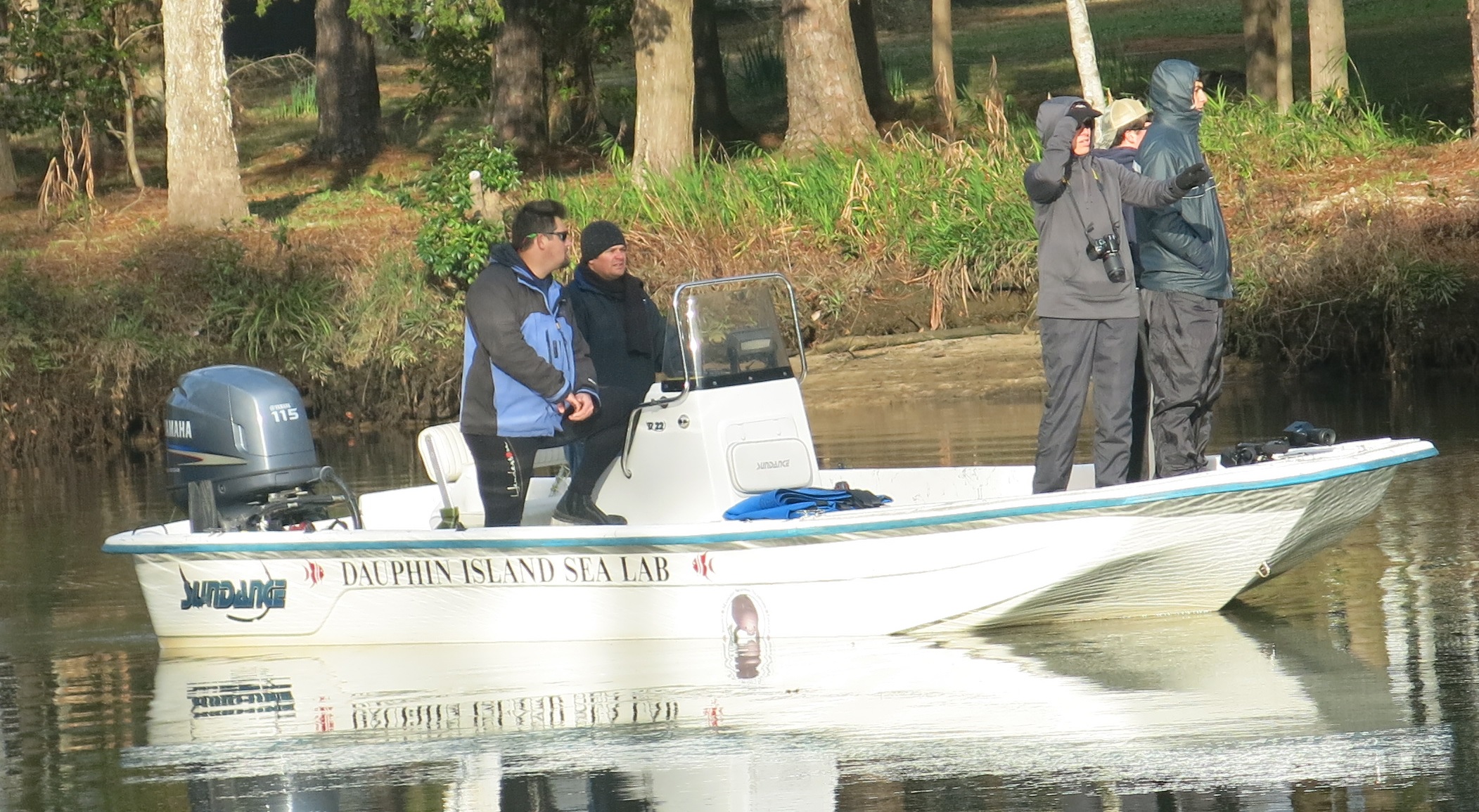 Manatee spotters help keep a lookout for manatees in the area and prevent potential boat strikes.  Credit: DISL/MSN