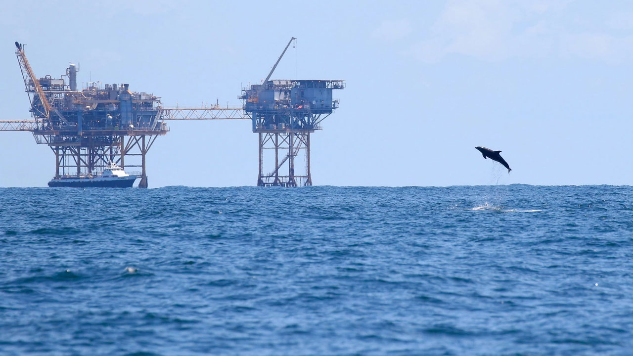 dolphin jumps near natural gas rigs