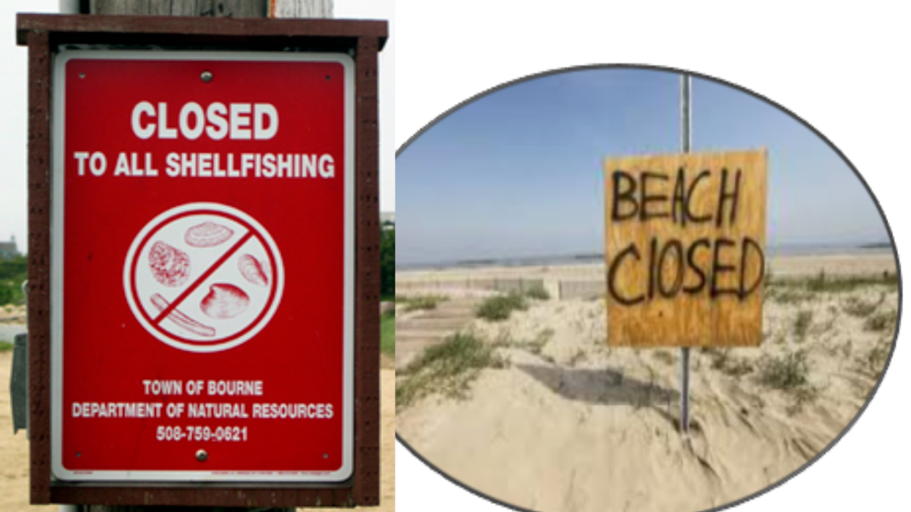 beach closed sign