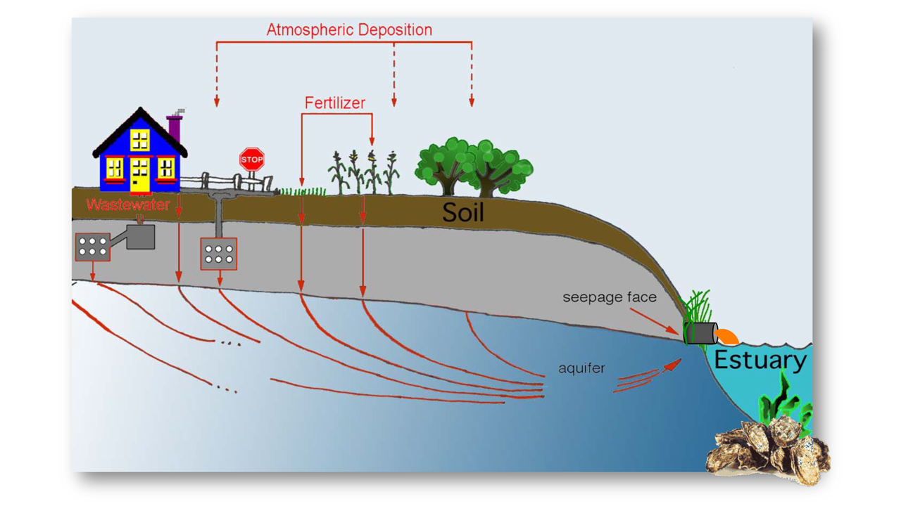 graphic shows various routes nutrients and microbes take to coastal waters