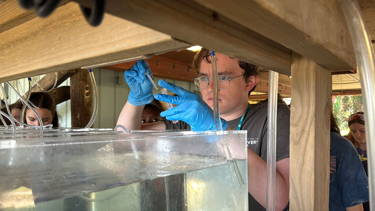 aquarium science student testing water