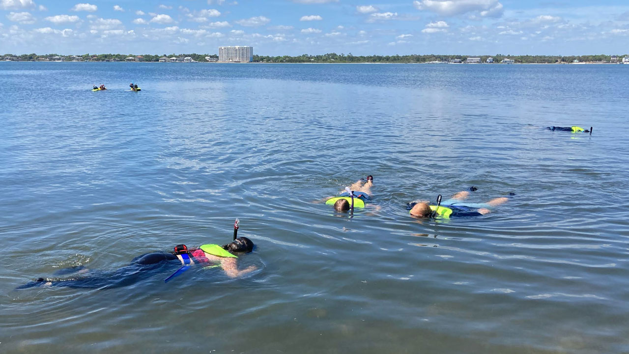 students snorkeling