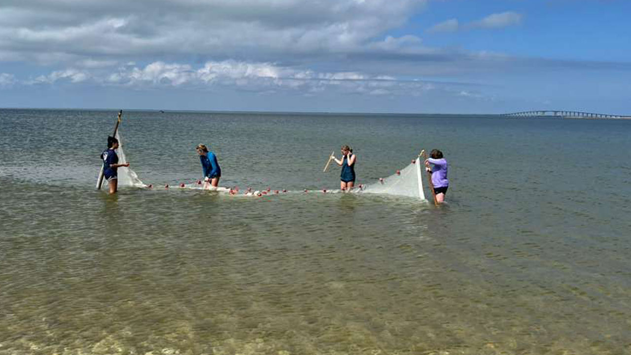 students pulling seine net