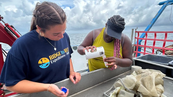 students gather sample