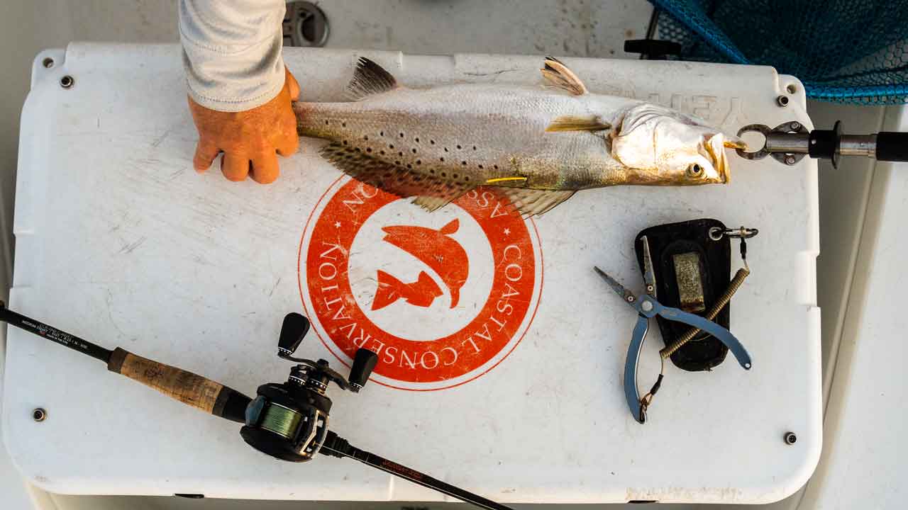 fish measured on boat